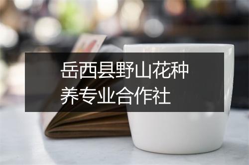 岳西县野山花种养专业合作社