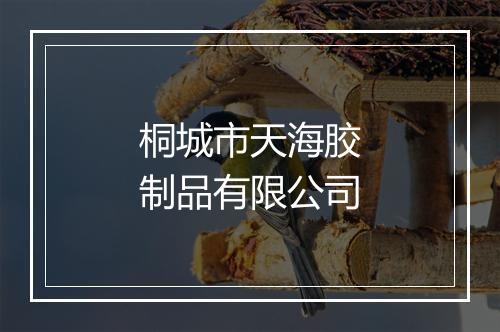 桐城市天海胶制品有限公司