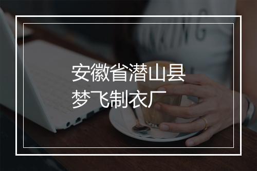 安徽省潜山县梦飞制衣厂