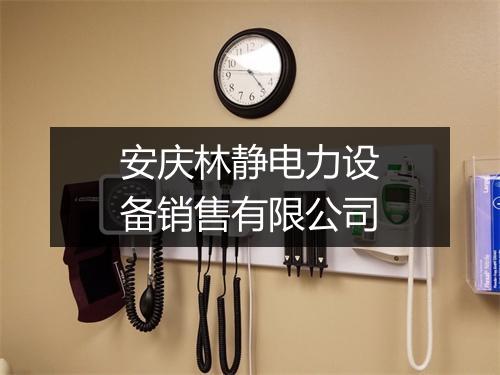 安庆林静电力设备销售有限公司