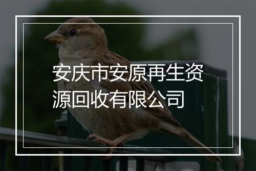 安庆市安原再生资源回收有限公司