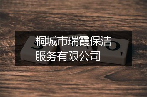 桐城市瑞霞保洁服务有限公司