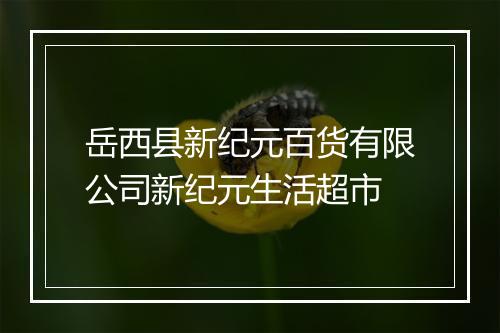 岳西县新纪元百货有限公司新纪元生活超市
