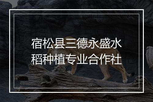 宿松县三德永盛水稻种植专业合作社