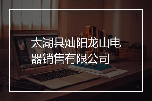 太湖县灿阳龙山电器销售有限公司