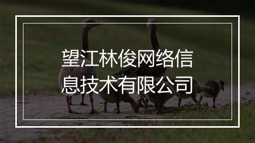 望江林俊网络信息技术有限公司
