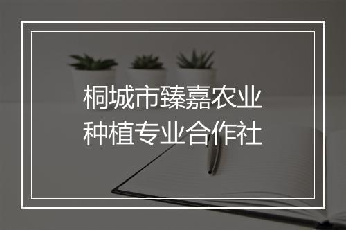 桐城市臻嘉农业种植专业合作社