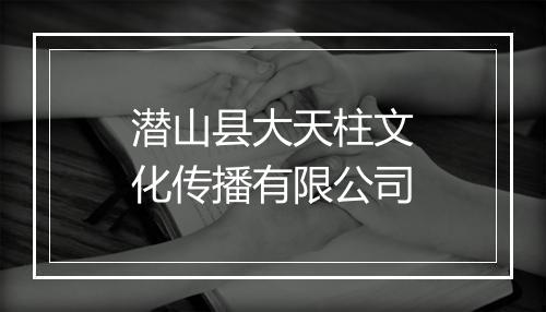 潜山县大天柱文化传播有限公司