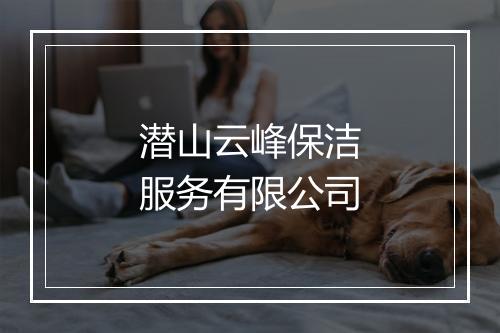 潜山云峰保洁服务有限公司