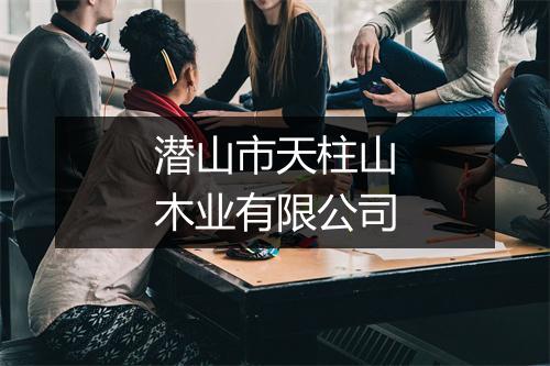 潜山市天柱山木业有限公司
