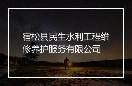 宿松县民生水利工程维修养护服务有限公司