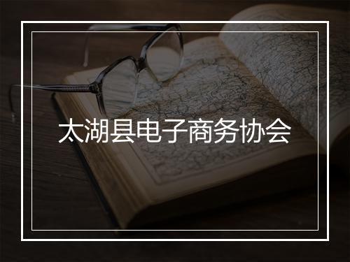太湖县电子商务协会