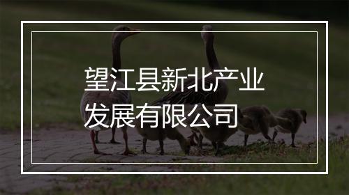 望江县新北产业发展有限公司