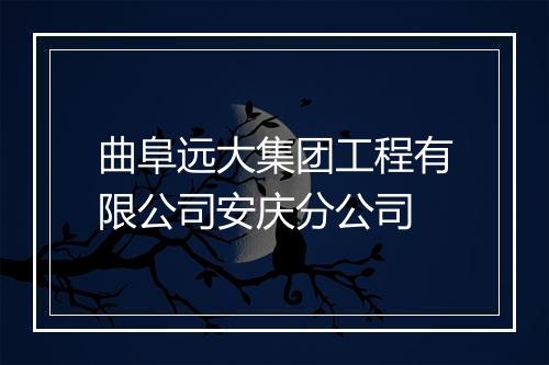 曲阜远大集团工程有限公司安庆分公司