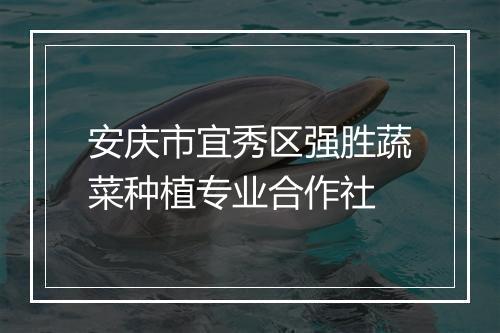 安庆市宜秀区强胜蔬菜种植专业合作社