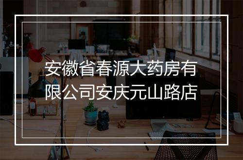 安徽省春源大药房有限公司安庆元山路店