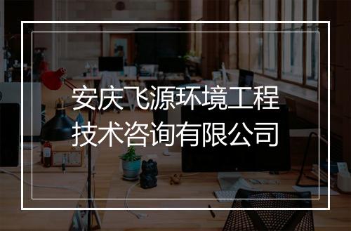 安庆飞源环境工程技术咨询有限公司