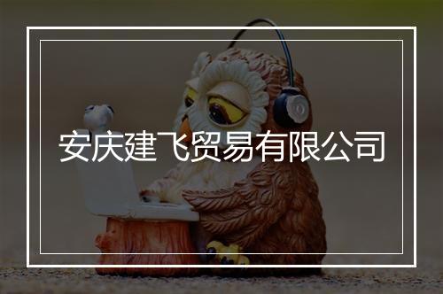 安庆建飞贸易有限公司