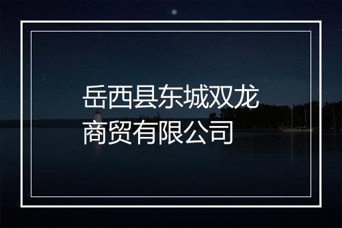 岳西县东城双龙商贸有限公司