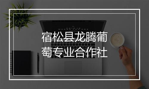 宿松县龙腾葡萄专业合作社