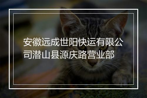 安徽远成世阳快运有限公司潜山县源庆路营业部