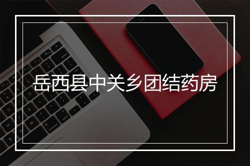 岳西县中关乡团结药房