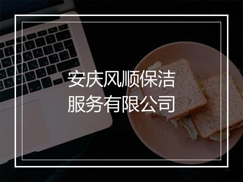 安庆风顺保洁服务有限公司