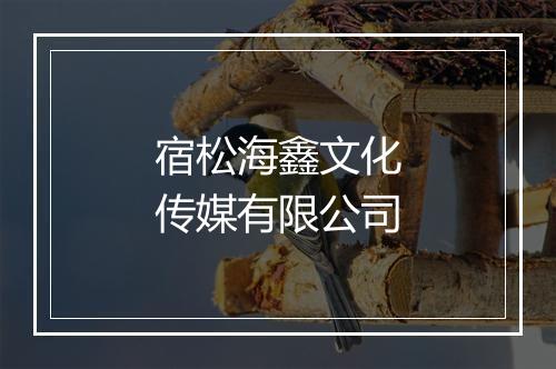 宿松海鑫文化传媒有限公司