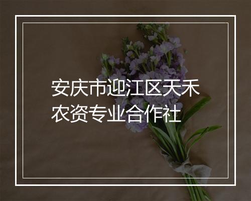 安庆市迎江区天禾农资专业合作社