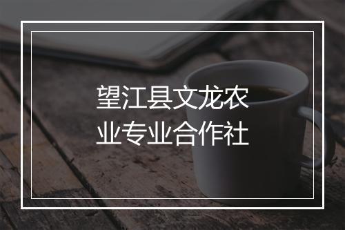 望江县文龙农业专业合作社