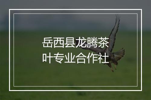 岳西县龙腾茶叶专业合作社