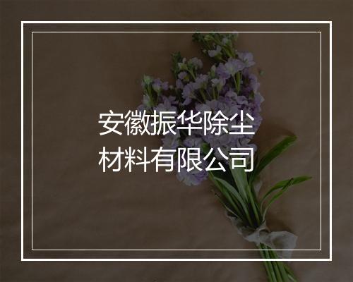 安徽振华除尘材料有限公司