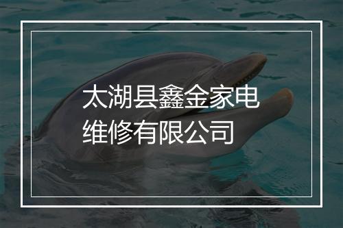 太湖县鑫金家电维修有限公司
