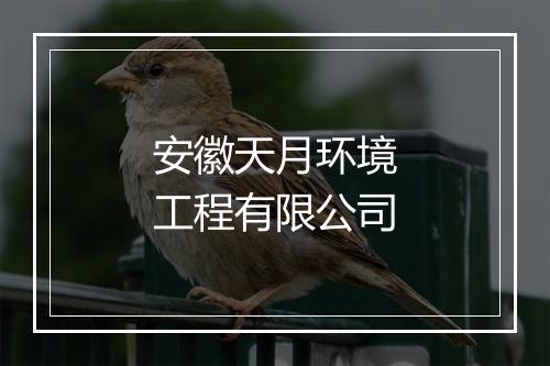 安徽天月环境工程有限公司