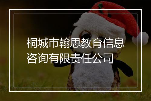 桐城市翰思教育信息咨询有限责任公司