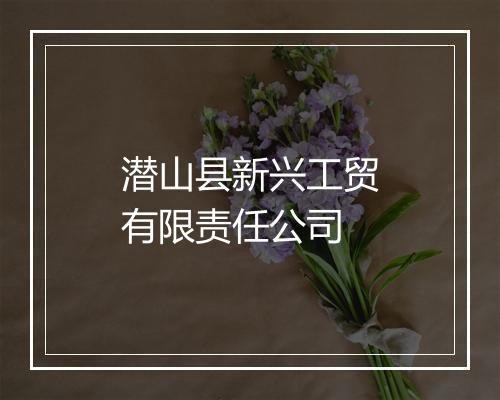 潜山县新兴工贸有限责任公司