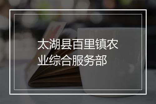 太湖县百里镇农业综合服务部