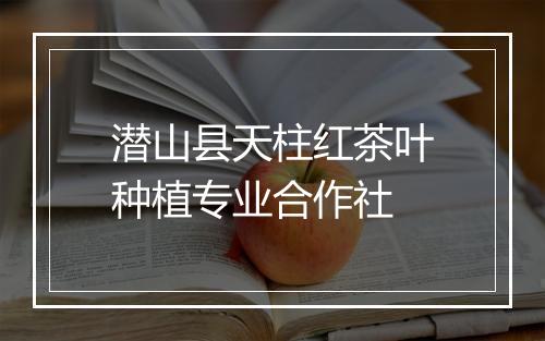 潜山县天柱红茶叶种植专业合作社