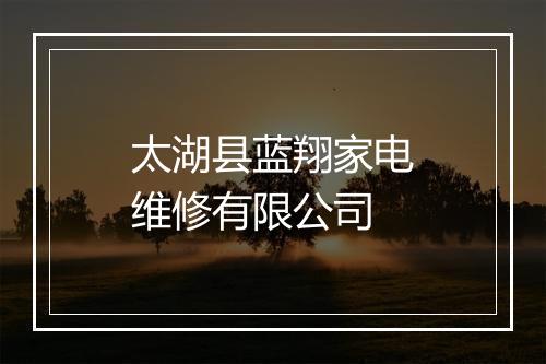 太湖县蓝翔家电维修有限公司