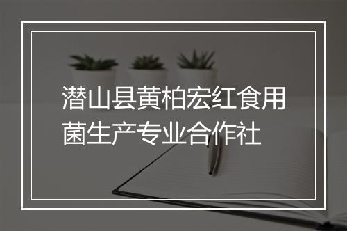 潜山县黄柏宏红食用菌生产专业合作社