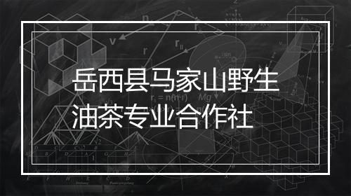 岳西县马家山野生油茶专业合作社