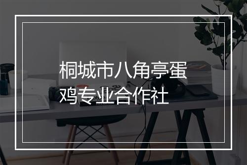 桐城市八角亭蛋鸡专业合作社