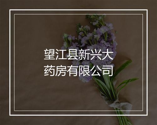 望江县新兴大药房有限公司