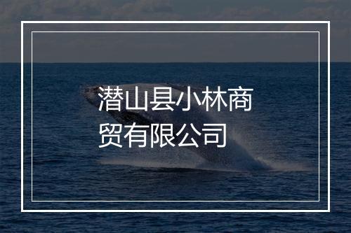 潜山县小林商贸有限公司