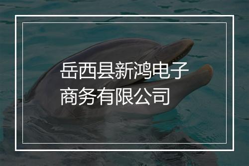 岳西县新鸿电子商务有限公司