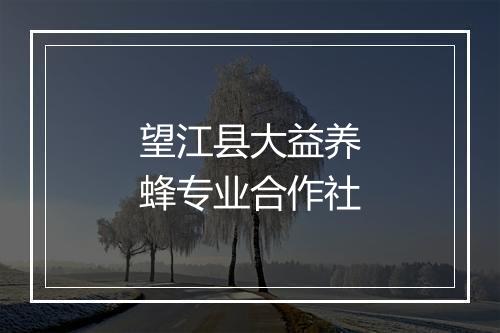 望江县大益养蜂专业合作社