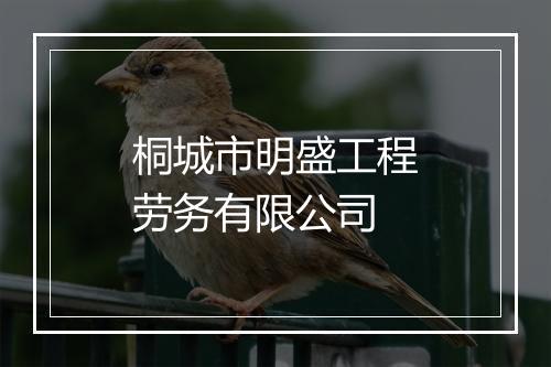 桐城市明盛工程劳务有限公司