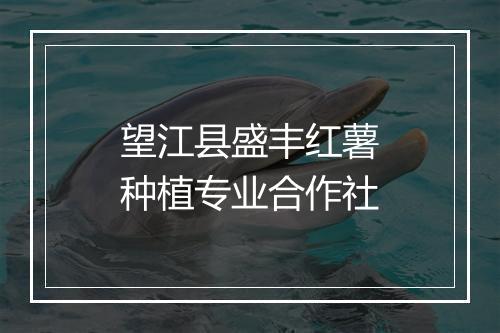 望江县盛丰红薯种植专业合作社
