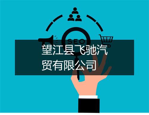 望江县飞驰汽贸有限公司
