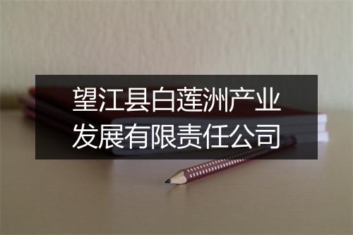 望江县白莲洲产业发展有限责任公司